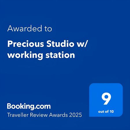 Precious Studio W/ Working Station بلايا ديل كارمن المظهر الخارجي الصورة