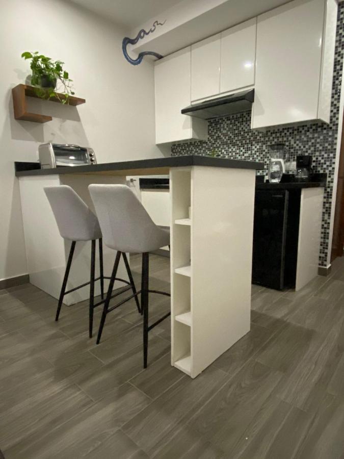 Precious Studio W/ Working Station بلايا ديل كارمن المظهر الخارجي الصورة