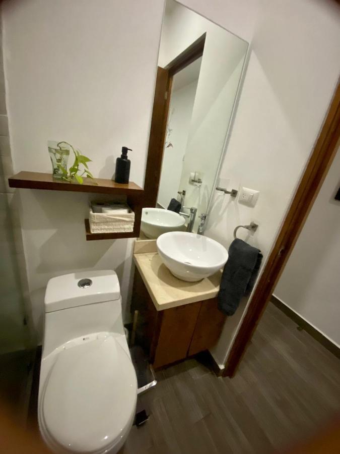 Precious Studio W/ Working Station بلايا ديل كارمن المظهر الخارجي الصورة